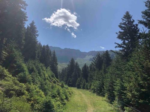 a cloud in the sky over a field of trees at Studio cosy à Prapoutel, Les 7 Laux, Alpes in Les Adrets