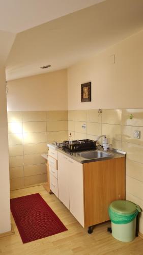a kitchen with a sink and a counter top at Apartments Magnolija in Ohrid