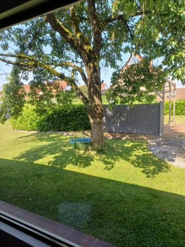 a window view of a tree in a yard at City - Appartement in Lengerich