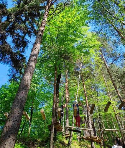 a group of people standing on a swing in the forest at Malak Farma in Kakanj