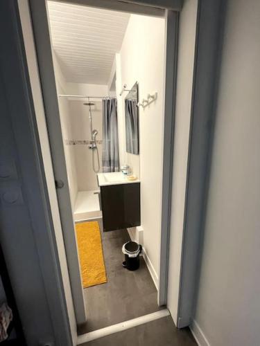 une salle de bain avec un lavabo et un miroir dans l'établissement Saint Vincent Océane Le Havre, au Havre