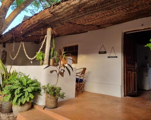 Afbeelding uit fotogalerij van Sunny House Paje in Paje