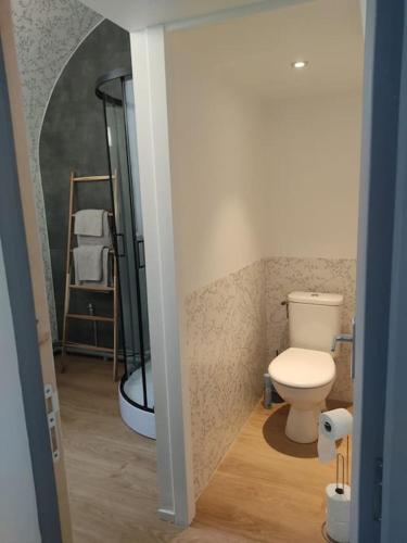 une salle de bain avec toilettes et douche dans l'établissement Appartement avec parking privé, à Saumur