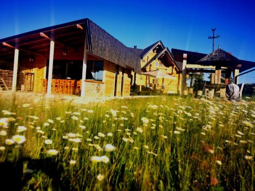 Κήπος έξω από το Cabana lemn rotund cu ciubar de închiriat Bucovina Chalet