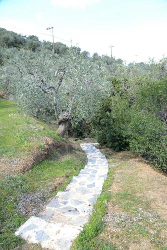 a stone path in a field with a tree at Goddesses Villa 2 in Nies in Soúrpi