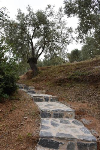 a stone path with a tree on a hill at Goddesses Villa 2 in Nies in Soúrpi