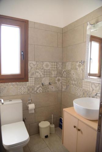 a bathroom with a toilet and a sink at Goddesses Villa 2 in Nies in Soúrpi