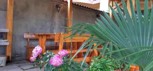 Ảnh trong thư viện ảnh của Heidi's - Summer villa Primorsko ở Primorsko