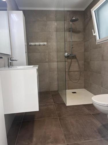 une salle de bain avec douche et toilettes dans l'établissement T2 Porticcio neuf, à Porticcio
