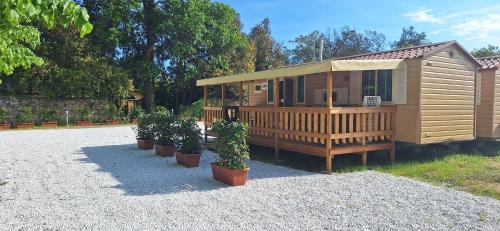 een houten hut met potplanten ervoor bij Comfortable campsite-chalet G12 Tuscany near sea in Viareggio