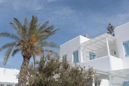 a palm tree in front of a white building at Agia Anna Living in Agia Anna Naxos