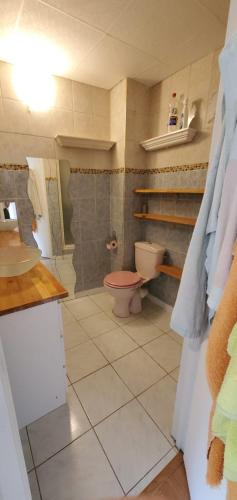 une salle de bain avec toilettes et lavabo dans l'établissement 2 pieces proche mer, à Nice