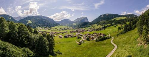 a group of animals in a field in a valley at Familienfreundliches Bregenzerwälderhaus in Au im Bregenzerwald