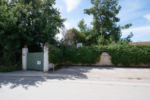 a driveway with a green gate in front of a hedge at Villa Christina in Evia in Paralía Avlídhos