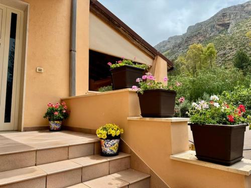 three potted plants on the steps of a house at Casa vacanze Villa Serena in Pizzolungo