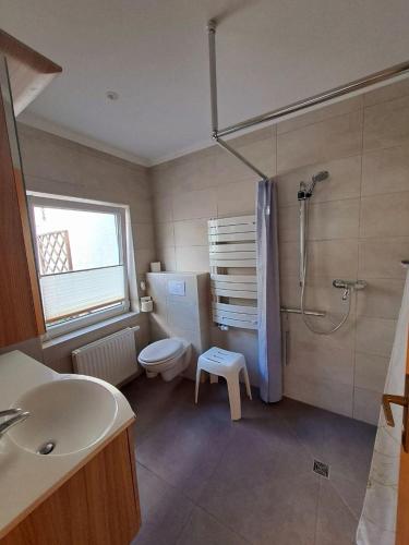 a bathroom with a shower and a toilet and a sink at Ferienhaus Marianne in Zinnowitz