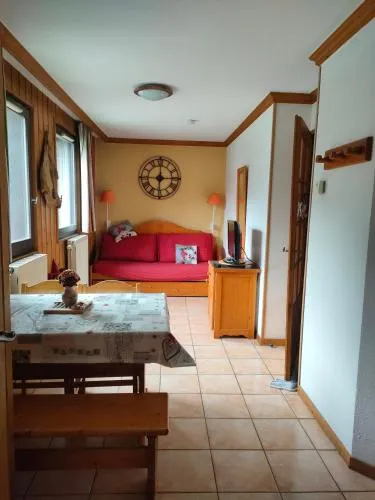 charmant appartement 2-4 personnes coeur de chamonix photo 1