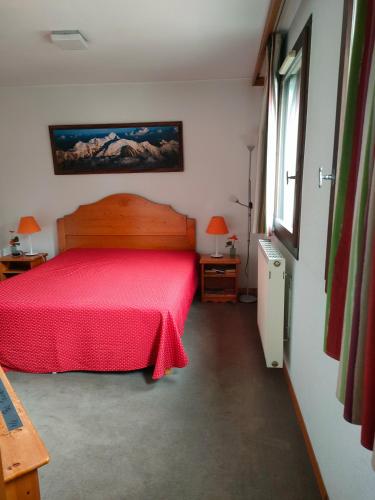 charmant appartement 2-4 personnes coeur de chamonix photo 3