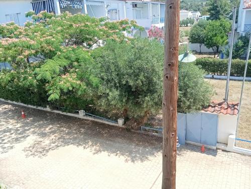 Κήπος έξω από το Sunny Apartment 30m from the Beach