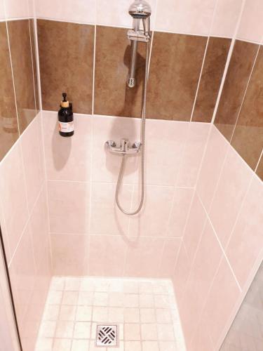 a bathroom with a shower with a bottle of soap at Logis Hôtels et restaurant La Pause Rn7 in La Coucourde