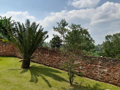 a brick wall with a palm tree in a yard at Maasai Villa Backpackers Home in Fort Portal