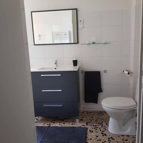 une salle de bain avec un lavabo, des toilettes et un miroir dans l'établissement Studio calme cadre nature à proximité des plages, à La Seyne-sur-Mer