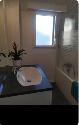 La salle de bains est pourvue d'un lavabo et d'une plante en pot. dans l'établissement Maison de vacances à 5 min des plages, à Ploemeur