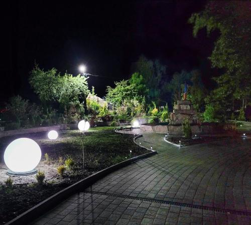 a garden at night with lights in a park at Апартаменти-студіо в Трускавці in Truskavets