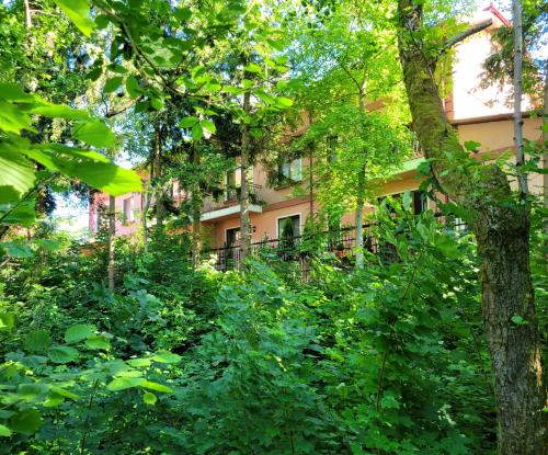 a building obscured by trees and bushes at Апартаменти-студіо в Трускавці in Truskavets
