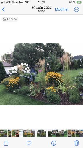 two pictures of a garden with flowers and plants at Oasis de la rivière in Saguenay