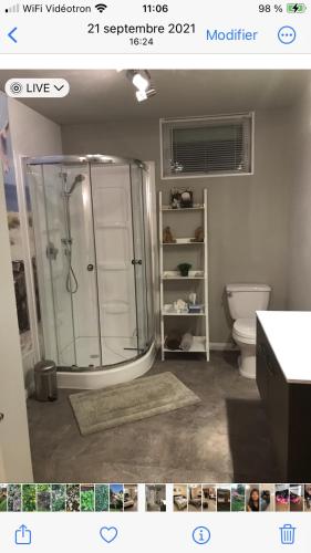 a bathroom with a shower and a toilet at Oasis de la rivière in Saguenay