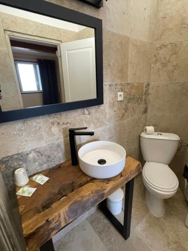 a bathroom with a sink and a toilet and a mirror at Hotel Clair de Lune in Zonza