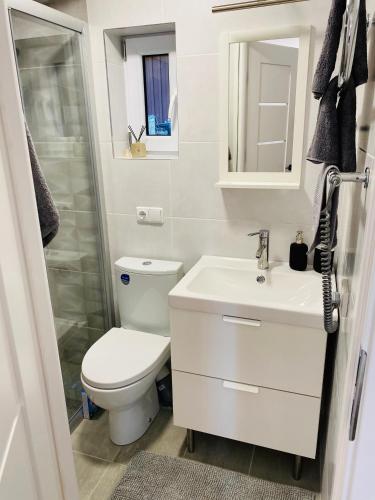 a white bathroom with a toilet and a sink at Apartamentai ant marių kranto in Neringa