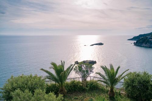a view of a body of water with palm trees at Hotel Pirate Old Town in Ulcinj