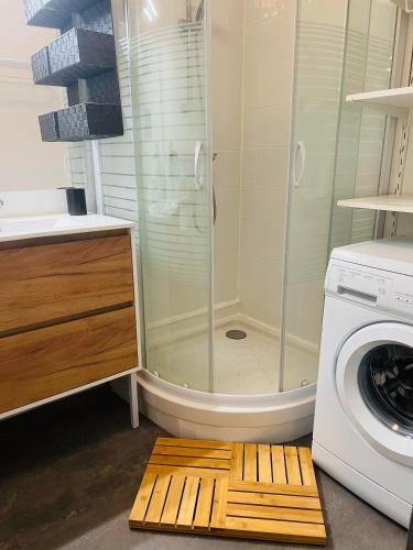 une salle de bain avec douche et machine à laver dans l'établissement Studio Peyragudes pied des pistes 4/5 pers Les Agudes, à Gouaux-de-Larboust