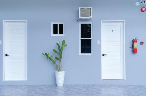 a room with three doors and a plant in a vase at Tropical Stay Accommodations Dao in Tagbilaran City