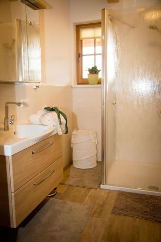 a bathroom with a sink and a shower at Alm-Ferienhaus Schleinzer in Prebl