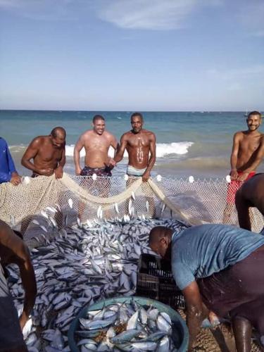 a group of men standing around a table of fish at Pousada Ancora in Vera Cruz de Itaparica
