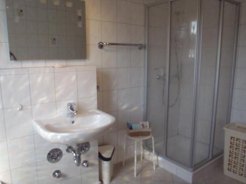 a bathroom with a sink and a shower at Weidenhof Zinnowitz in Zinnowitz