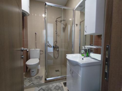 a bathroom with a shower and a toilet and a sink at Pocanic apartmani in Tivat