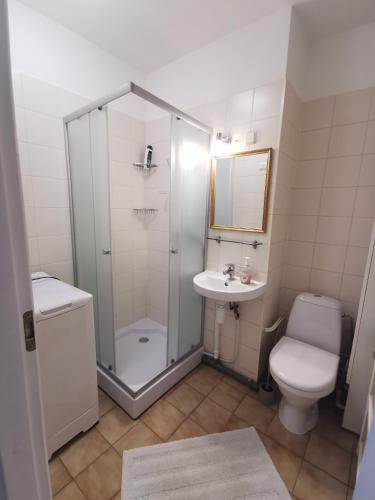 Koupelna v ubytování Seersant apartment studio