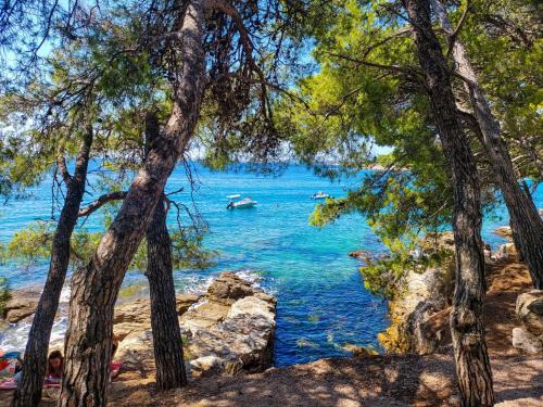a view of a river with boats in the water at Apartmani Linda in Vodice