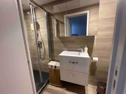 une salle de bain avec une douche, un lavabo et un miroir dans l'établissement Appartement en rez-de-maison, à Nice
