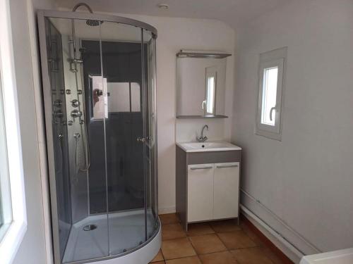 une salle de bain avec douche et lavabo dans l'établissement maison de ville proche ZOO BEAUVAL, à Châtillon-sur-Indre