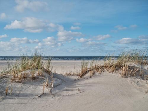 a sandy beach with tall grass in the sand at New Wave in Norderney