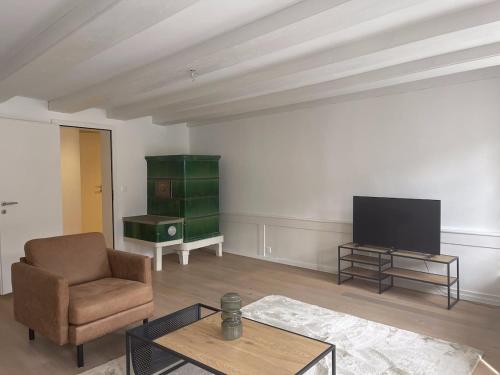 TV a/nebo společenská místnost v ubytování The R Apartment Bodensee - Old Town