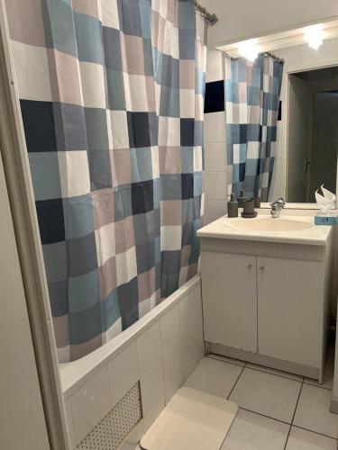 une salle de bain avec un lavabo et un rideau de douche dans l'établissement Appartement cosy Agen centre avec Lit King Size, à Agen