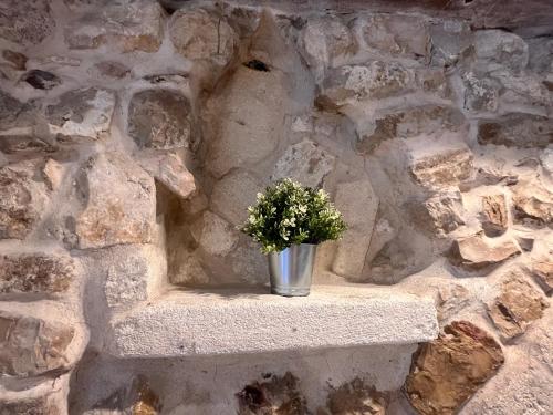 Magnifique appartement 70m2 proche du palais des papes photo 18