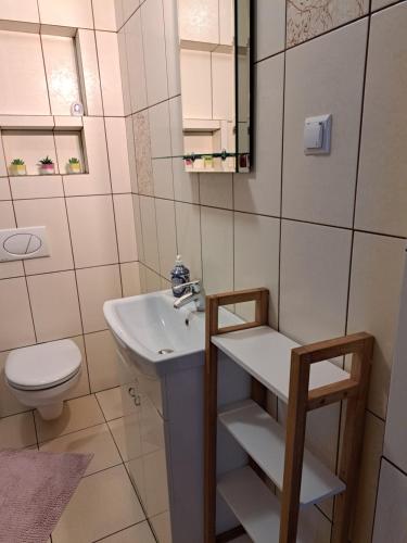 uma pequena casa de banho com lavatório e WC em Apartament pod Lubaniem em Grywałd