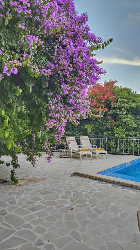 a tree with purple flowers next to a swimming pool at Villa Sazanka with private pool in Kamenari